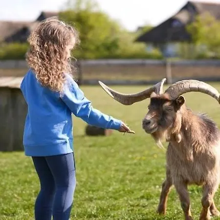 Апартаменты Im Der Valk Linstow Dobbin-Linstow