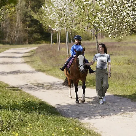 Im Der Valk Linstow Dobbin-Linstow