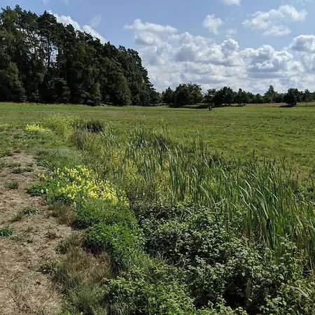 Im Der Valk Linstow * Dobbin-Linstow